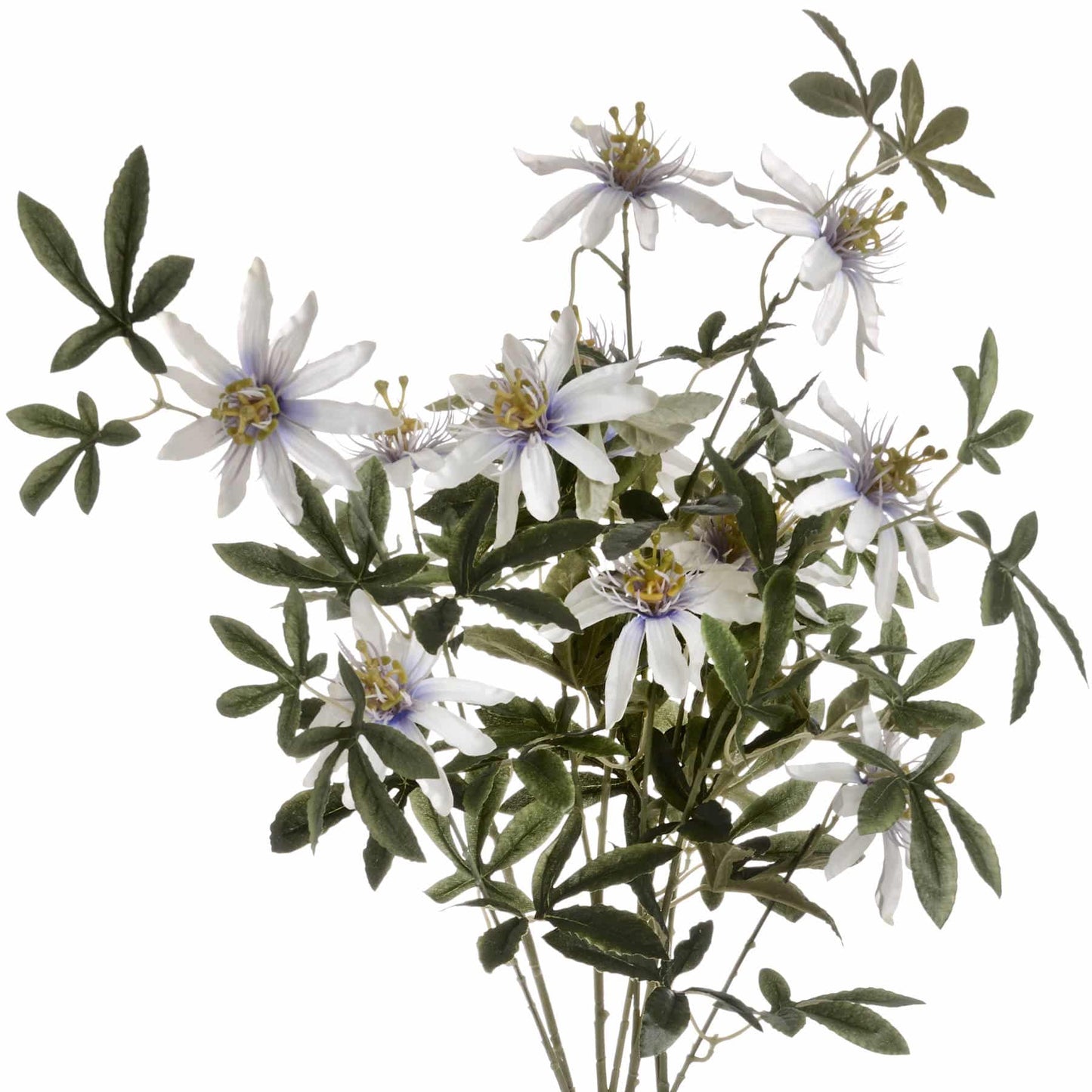 Passion Flower Spray image 0