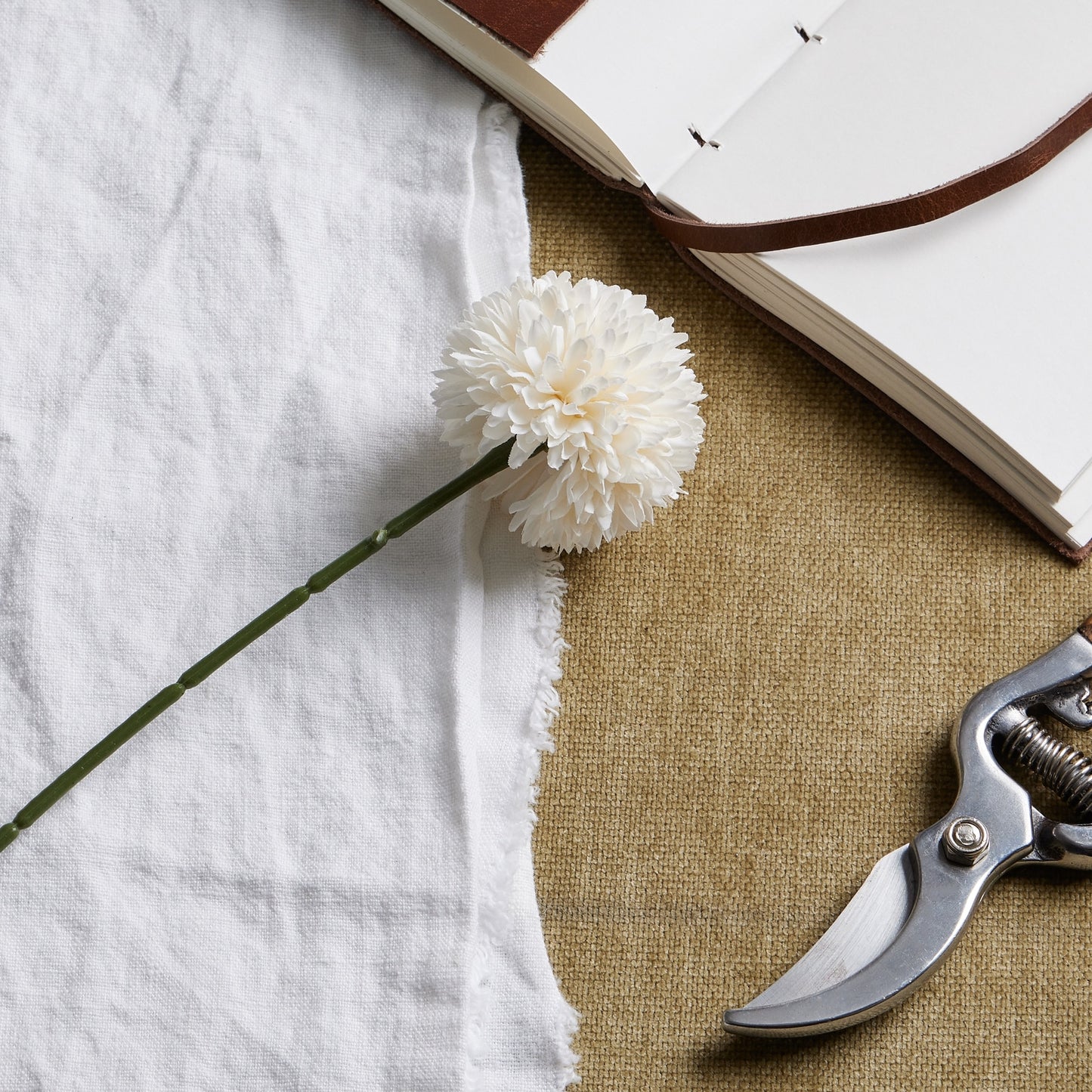 White Short Chrysanthemum image 0