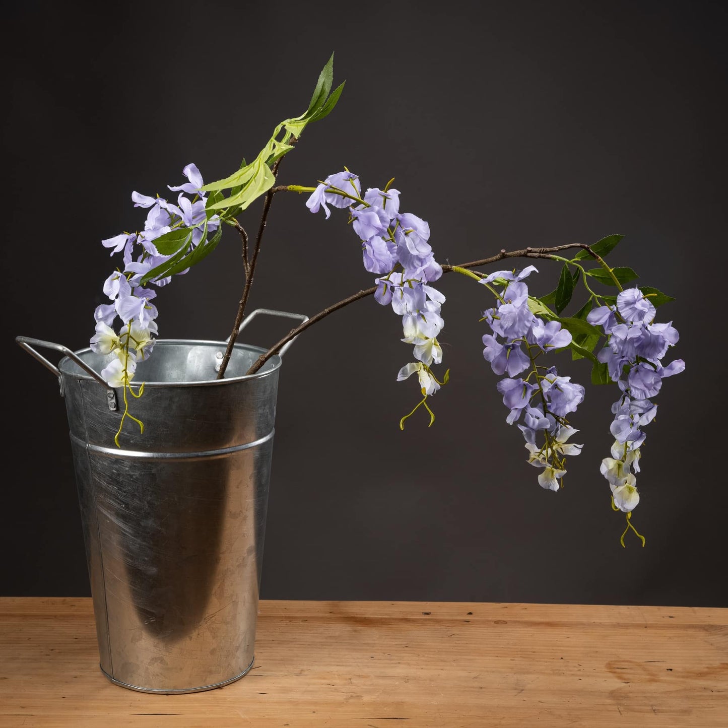 Lilac Wisteria Stem image 1