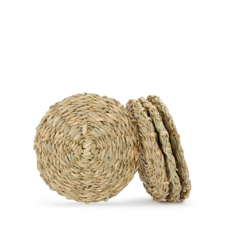 Seagrass Coasters (Set of 4) image 0