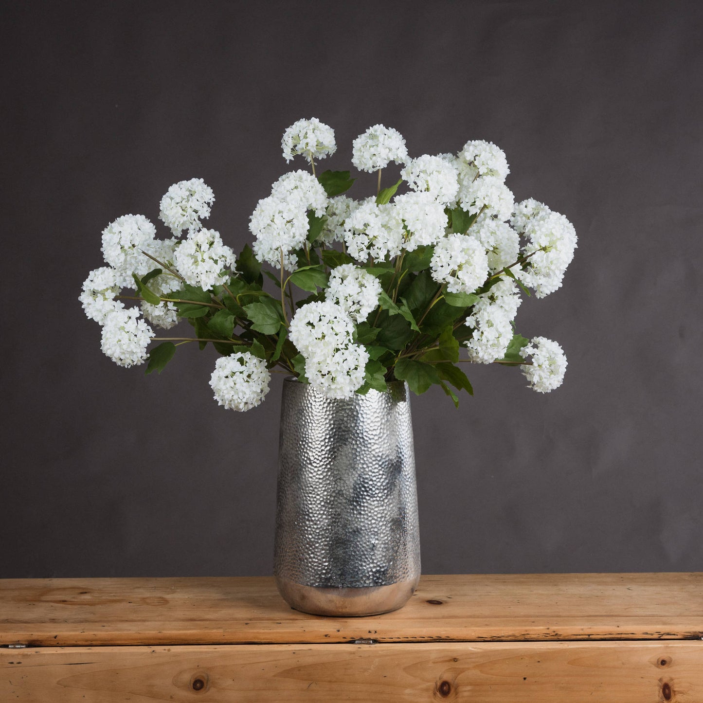 Viburnum Opulus image 2