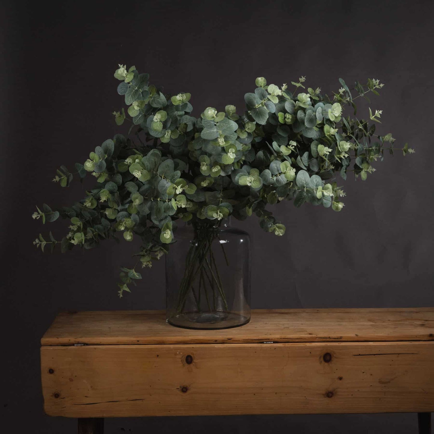 Eucalyptus Spray image 0