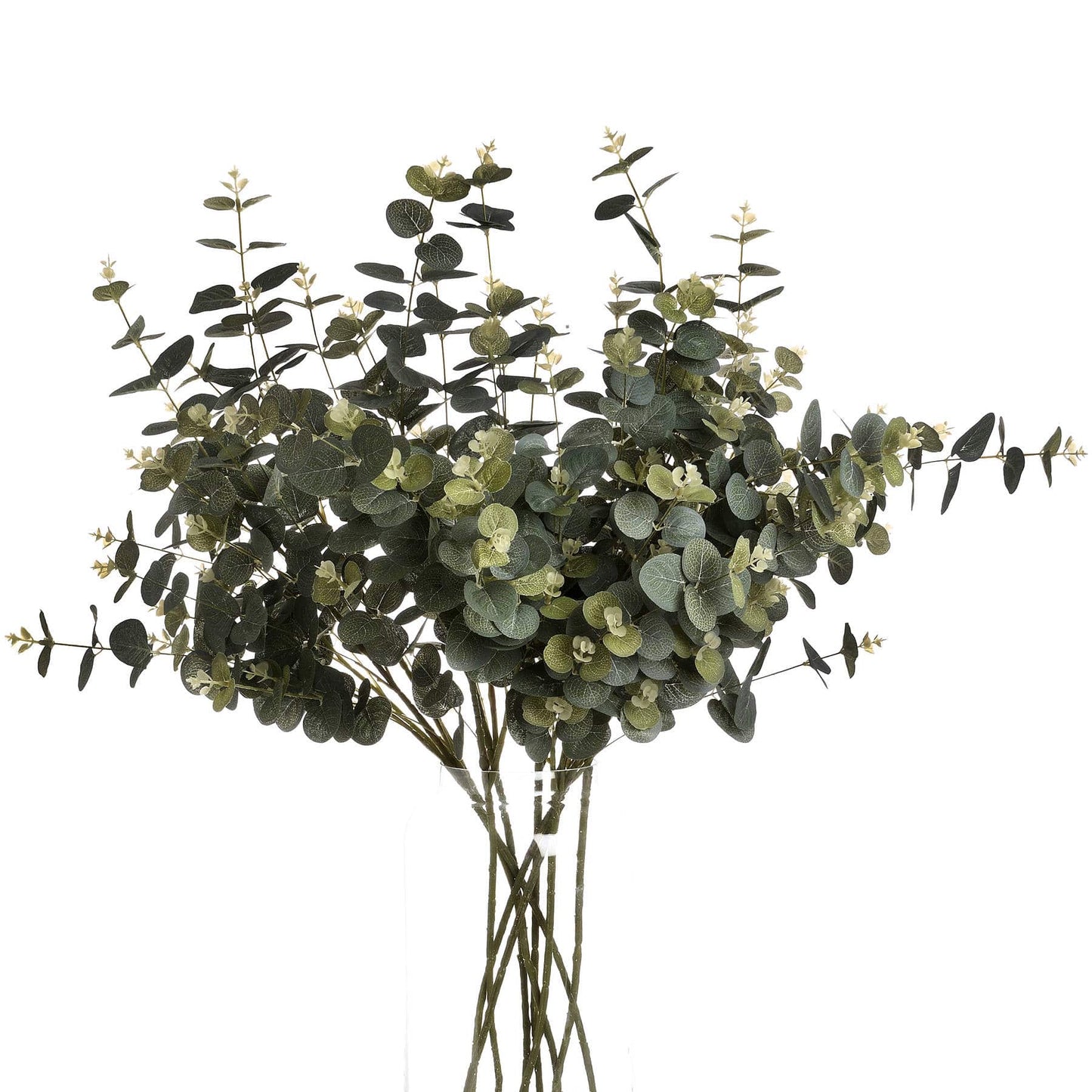 Eucalyptus Spray image 1