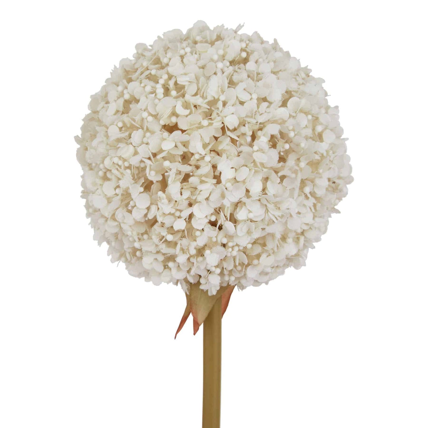 White Allium image 0