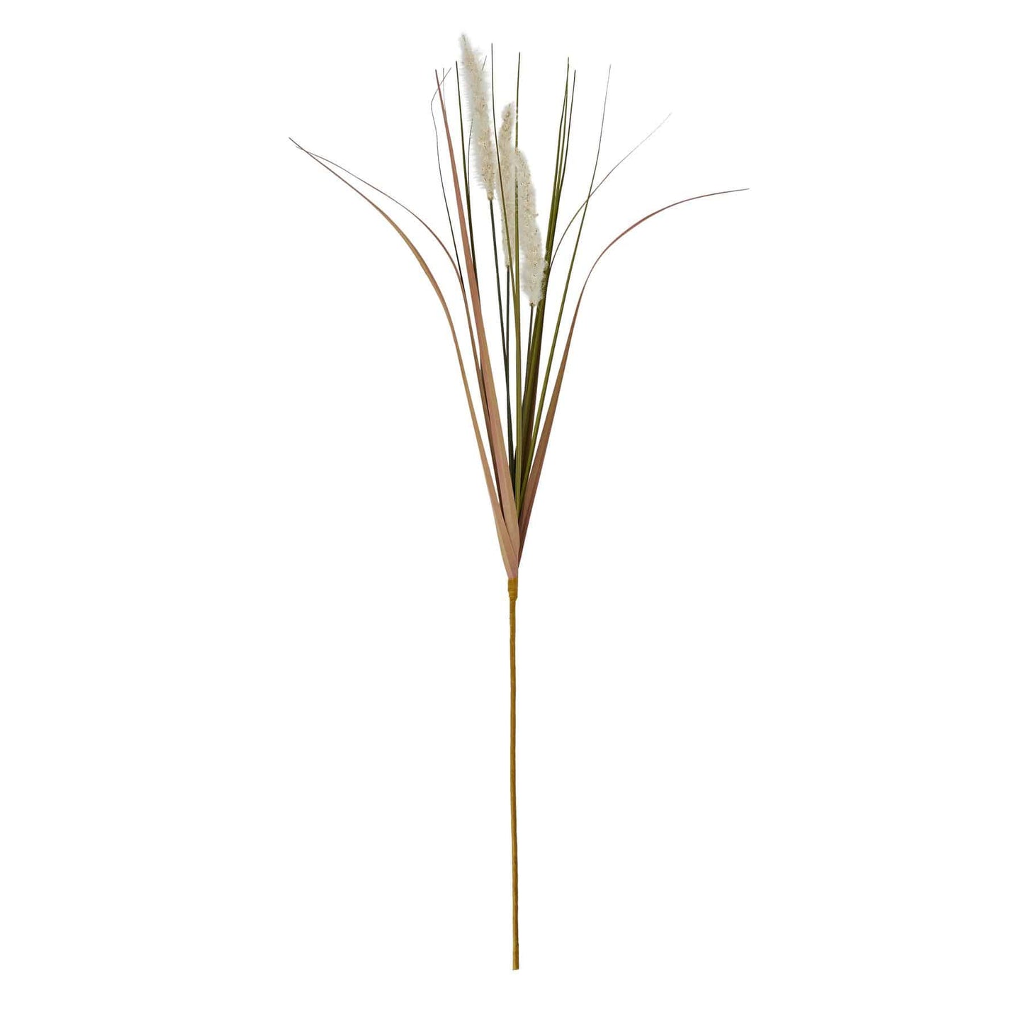 Cream Triple Grass Stem image 0