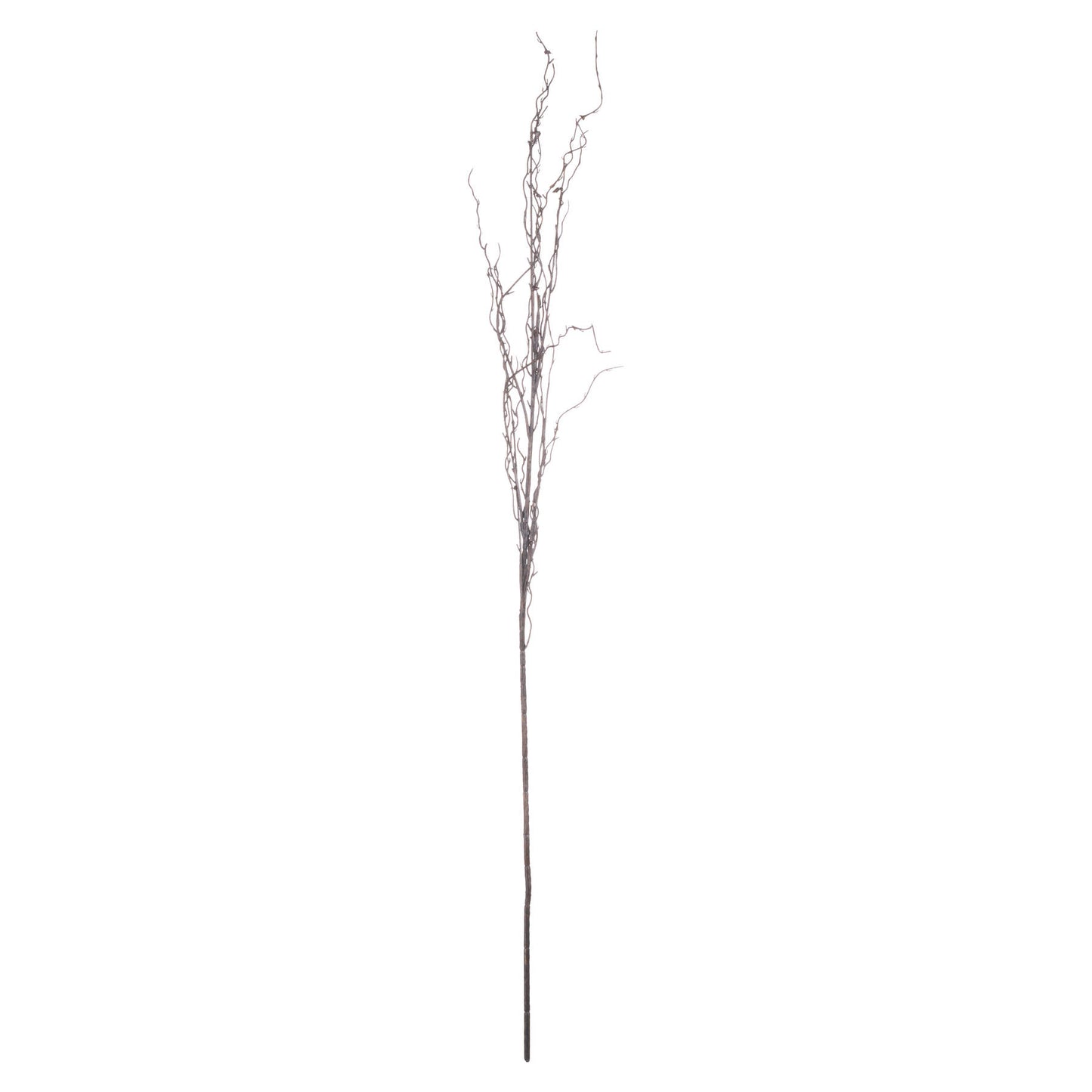 Branch Spray image 1
