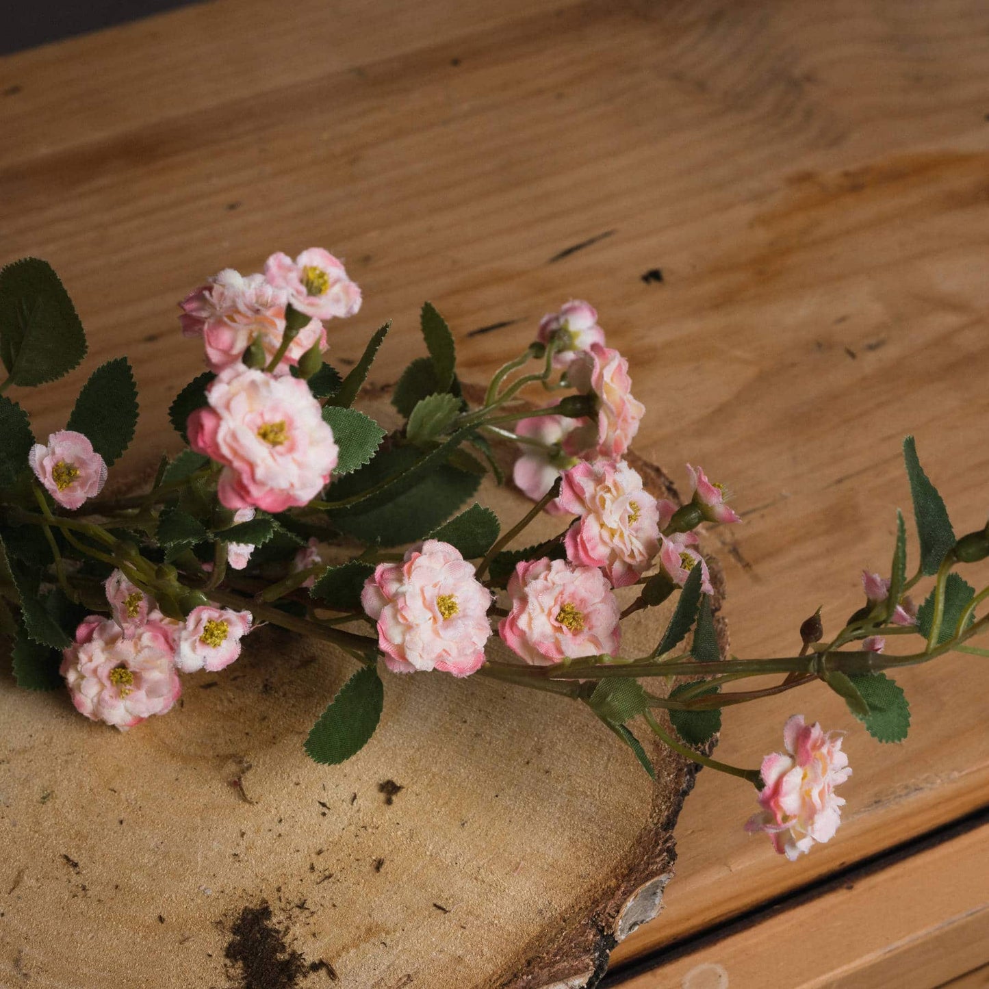 Pink Wild Meadow Rose Stem image 1