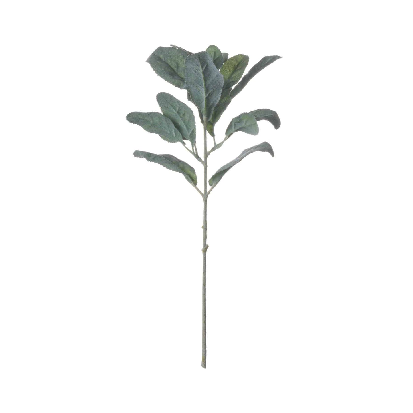 Lambs Ear Spray image 0