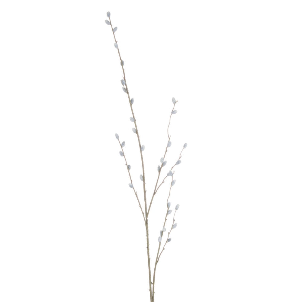 Pussy Willow Branch image 0