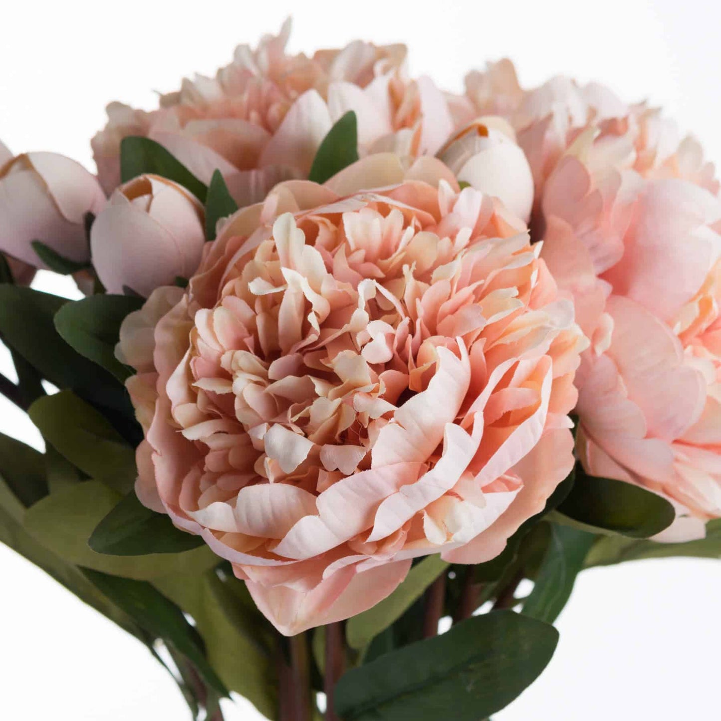 Peach Peony Rose Stem image 2