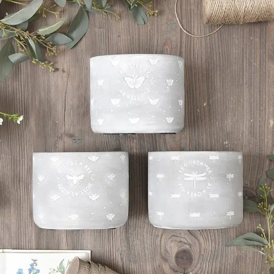 Bees Plant Pot image 1