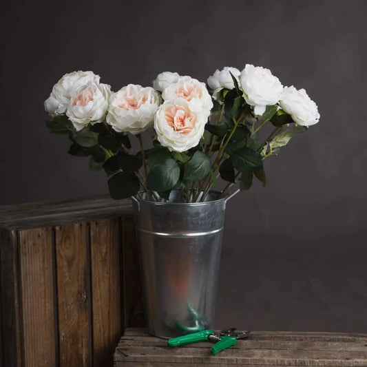 Blush Garden Rose Stem image 1
