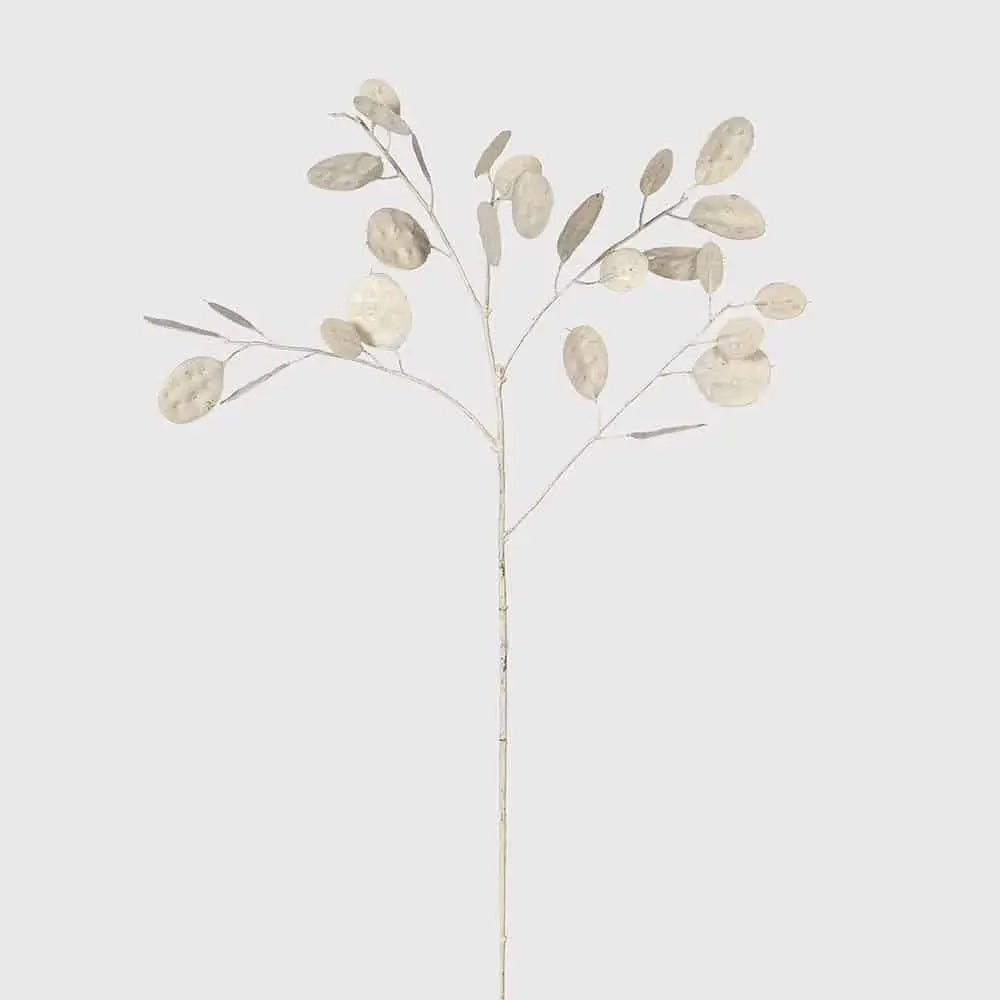 Cream Honesty Spray image 1