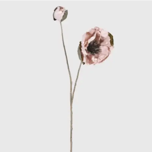 Dusky Pink Poppy Spray image 0