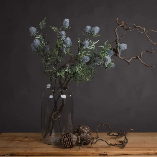 Eryngium Blue Thistle image 0