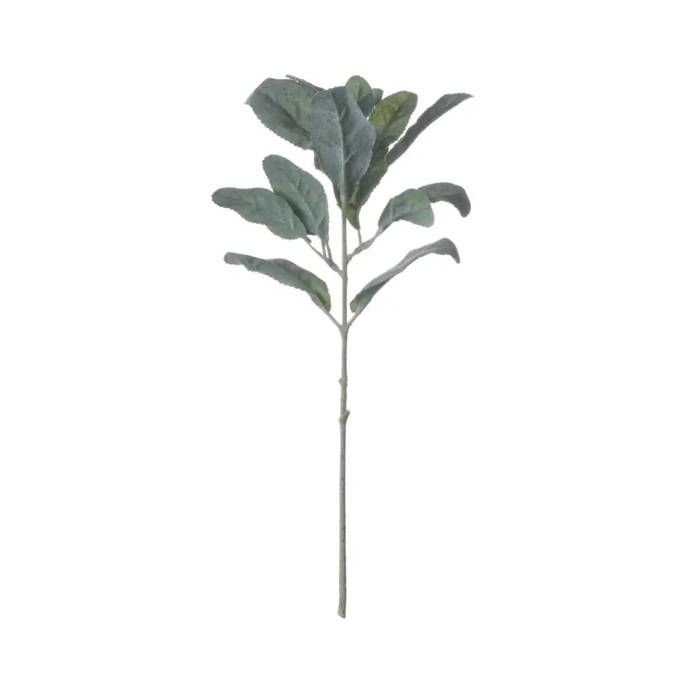 Lambs Ear Spray image 0