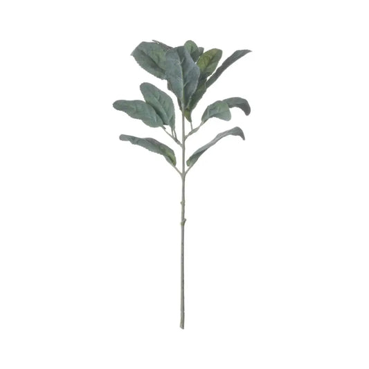 Lambs Ear Spray image 0