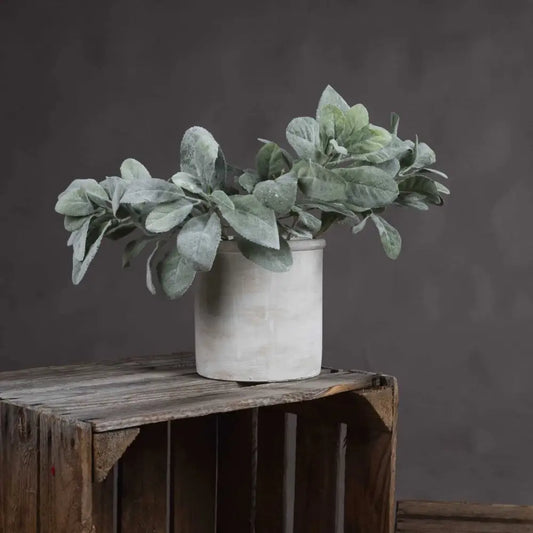 Lambs Ear Spray image 1