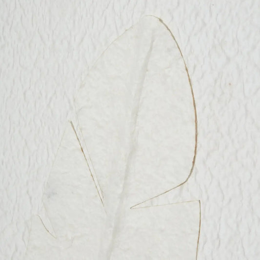 Large Quill White Feather Art Mounted In Beaded Frame