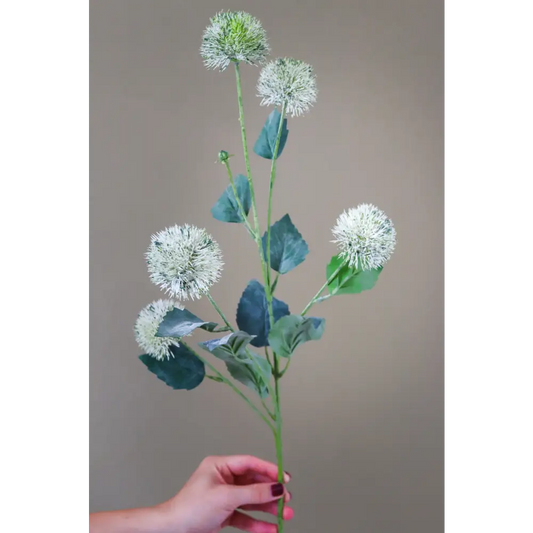 Thistle Globe Stem