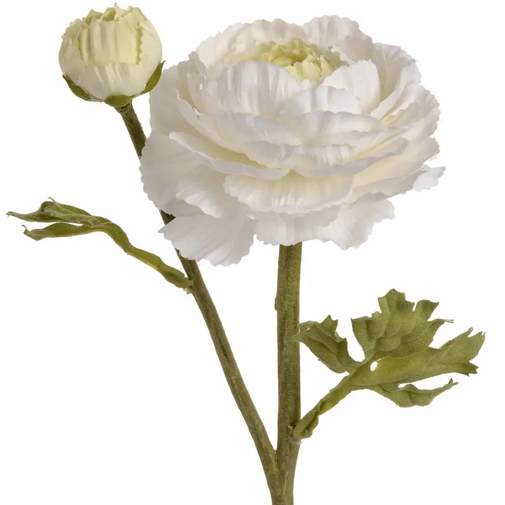 White Ranunculus Spray image 1