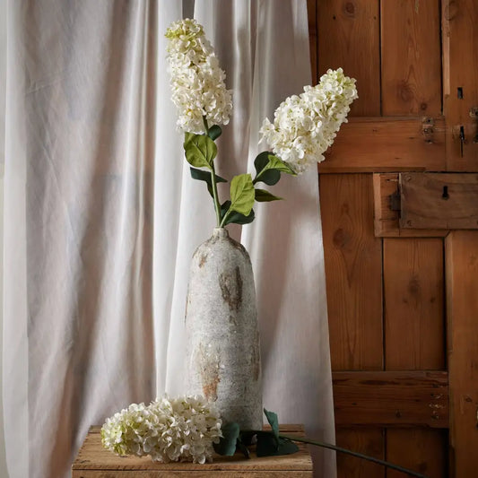 White Spear Hydrangea image 1