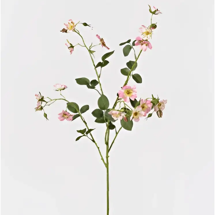 Wild Pink Rose Spray image 0