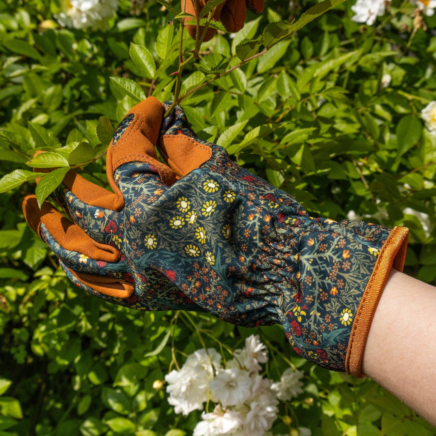 Garden & Outdoors