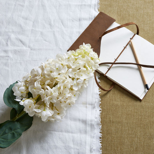 White Spear Hydrangea image 0