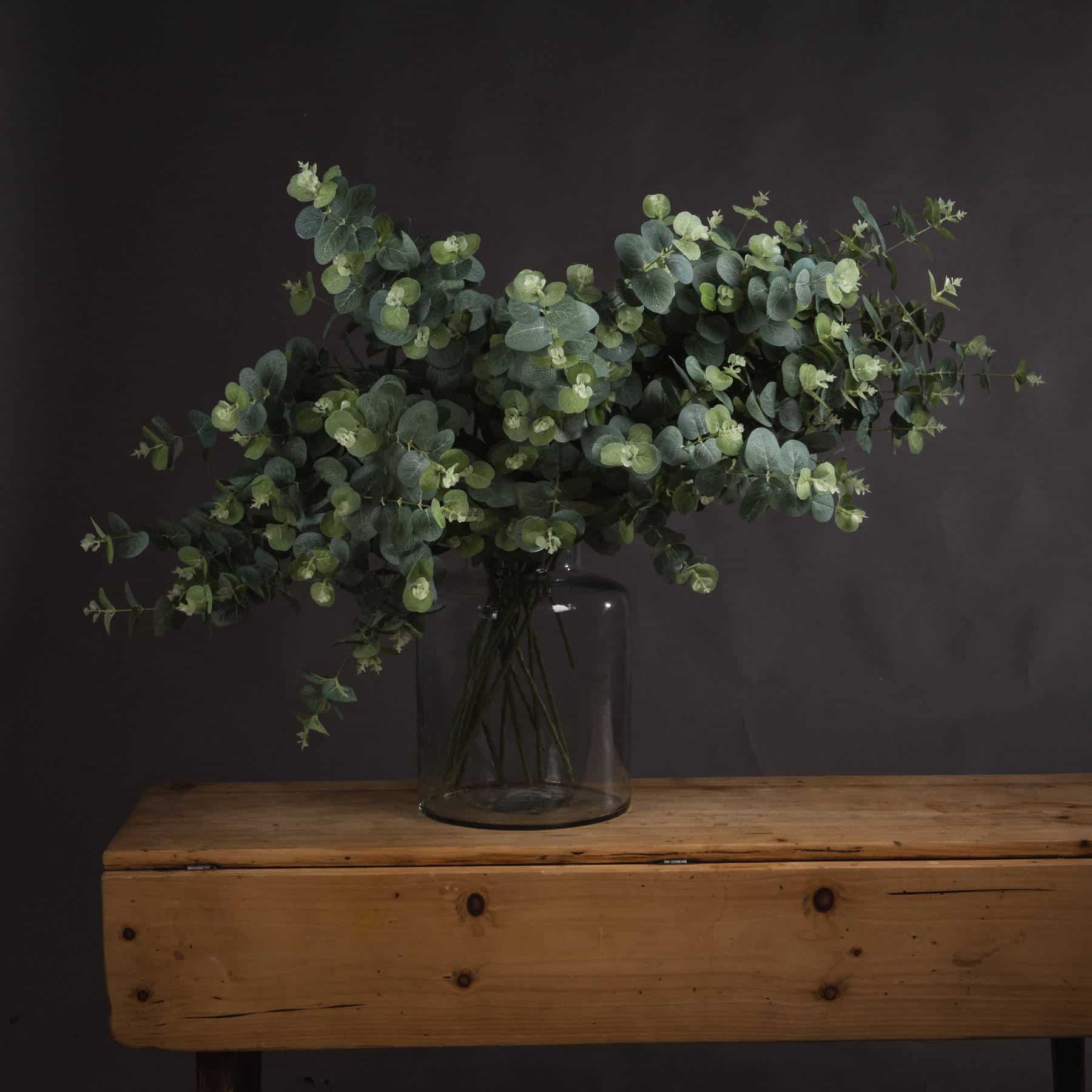 Eucalyptus Spray image 0
