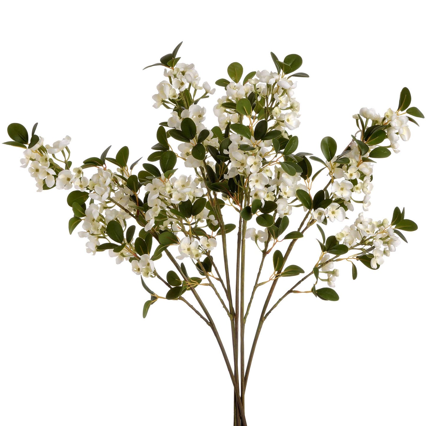 White Spring Mock Orange Flower image 1