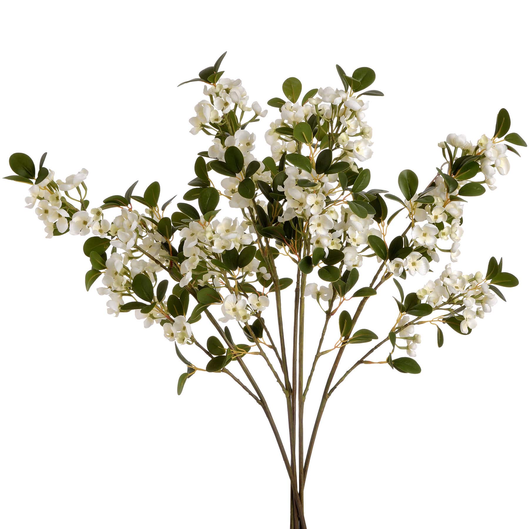 White Spring Mock Orange Flower image 1