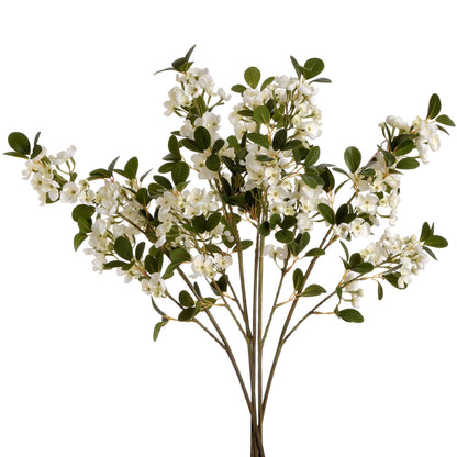 White Spring Mock Orange Flower image 1