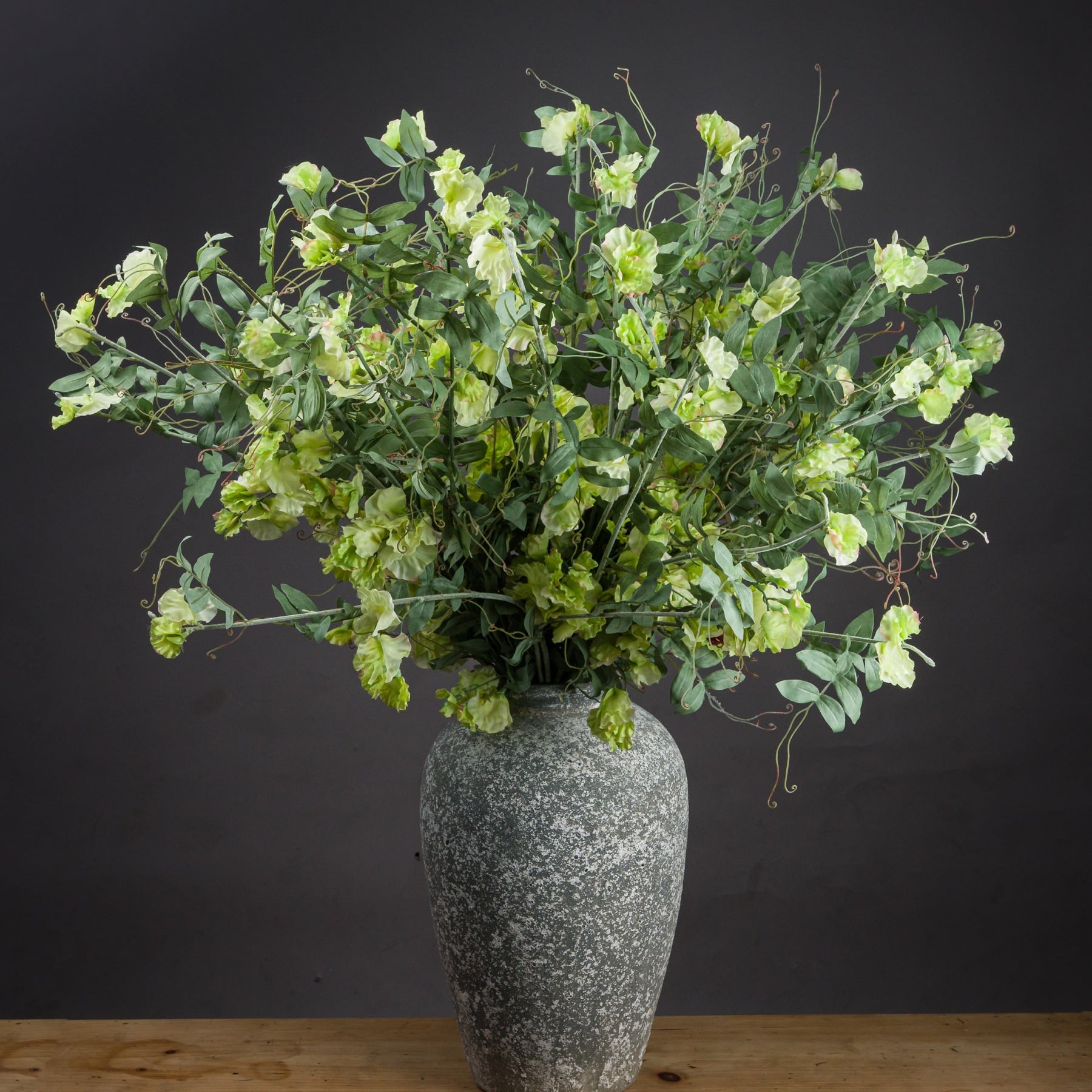 Sweet Pea Trail Stem image 1