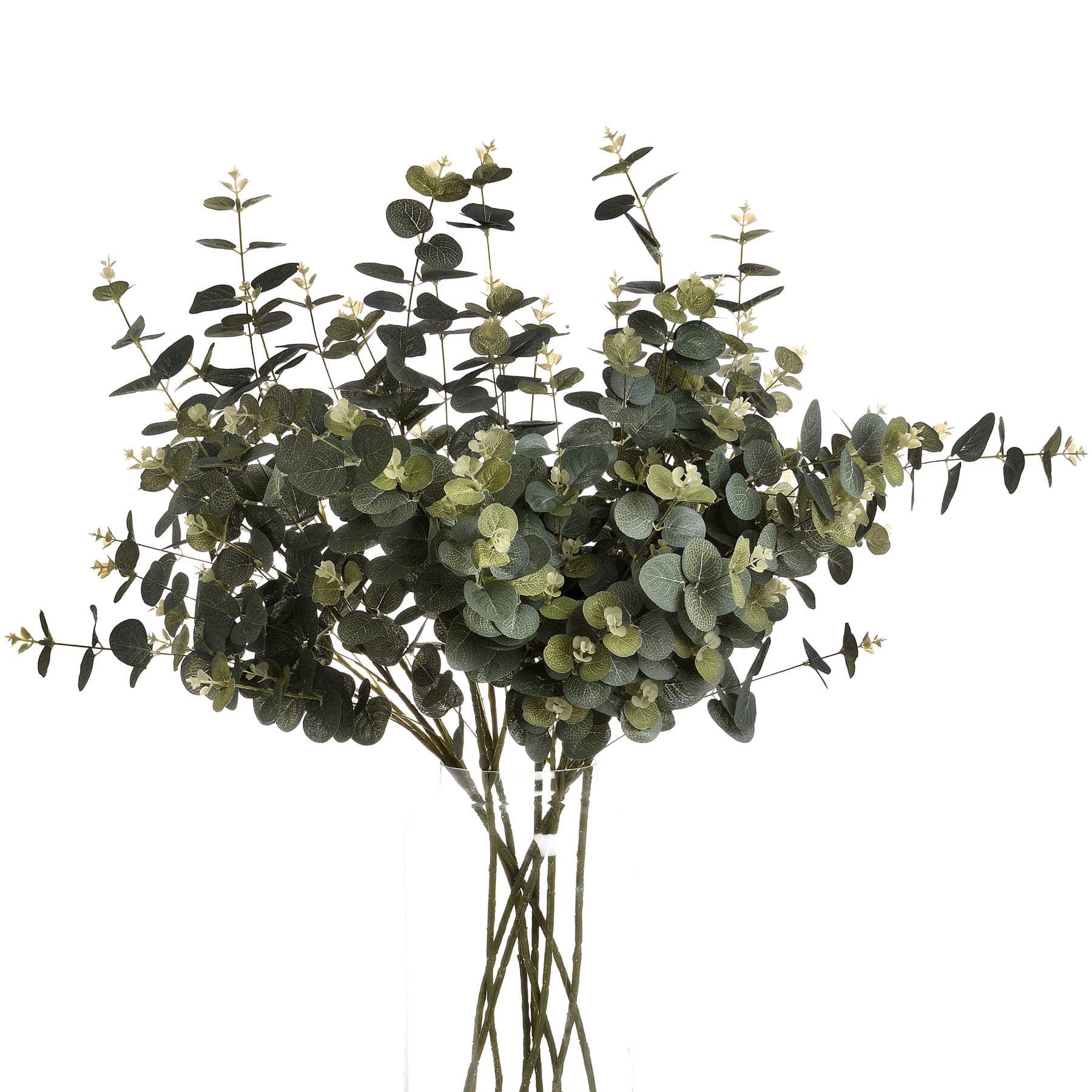 Eucalyptus Spray image 1