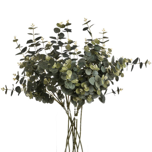 Eucalyptus Spray image 1