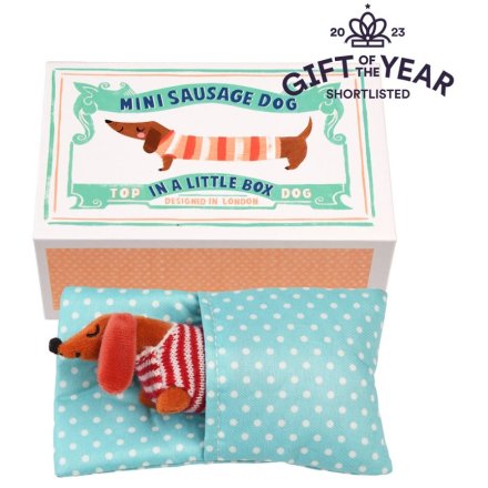 Sausage Dog In A Little House Toy