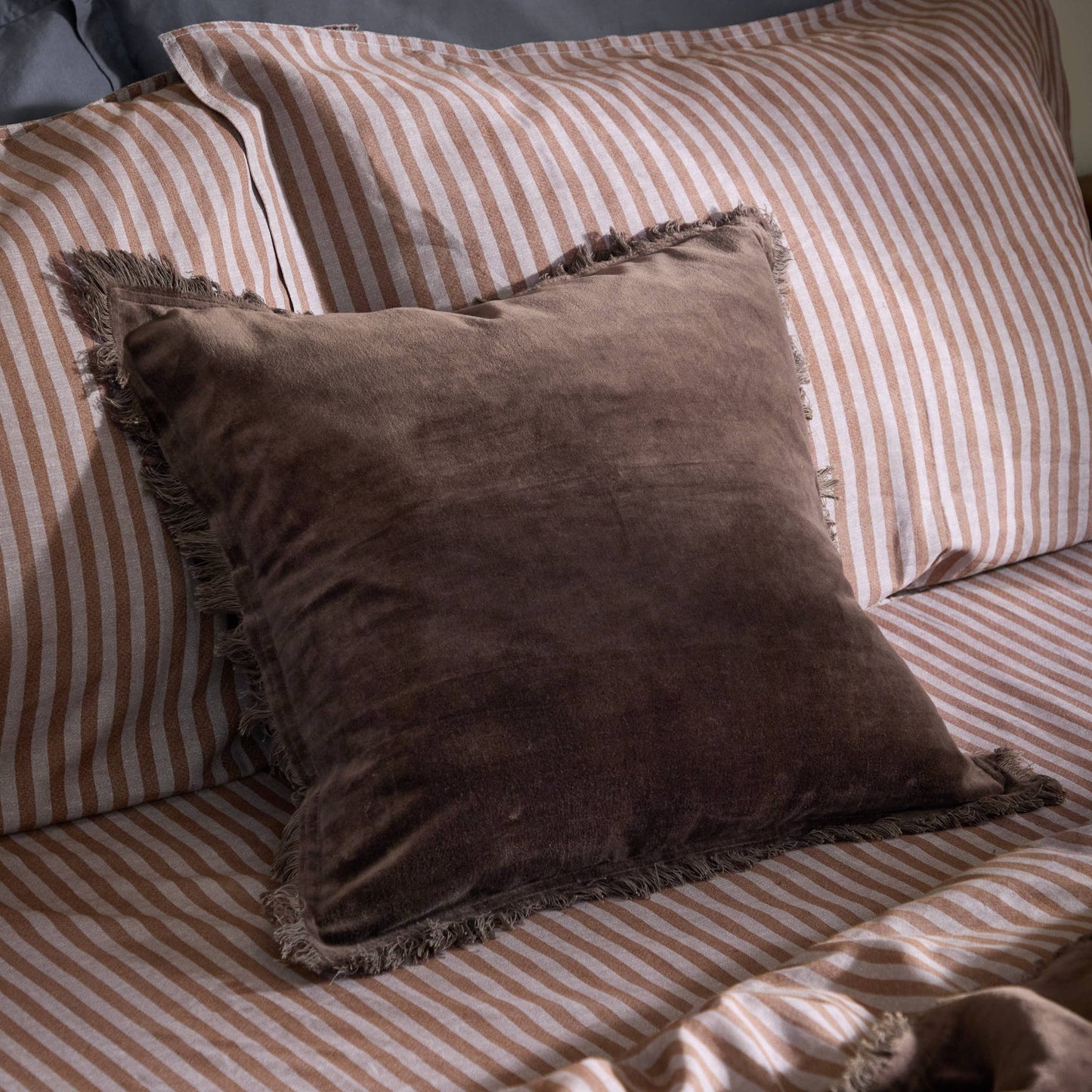 Jaye Cotton Velvet Cushion Bitter Chocolate