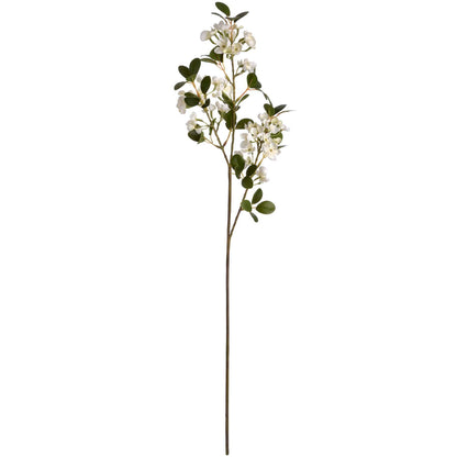 White Spring Mock Orange Flower image 0