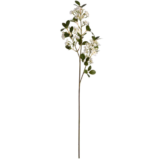 White Spring Mock Orange Flower image 0
