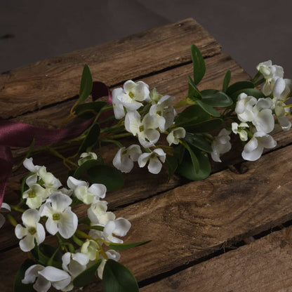 White Spring Mock Orange Flower image 2