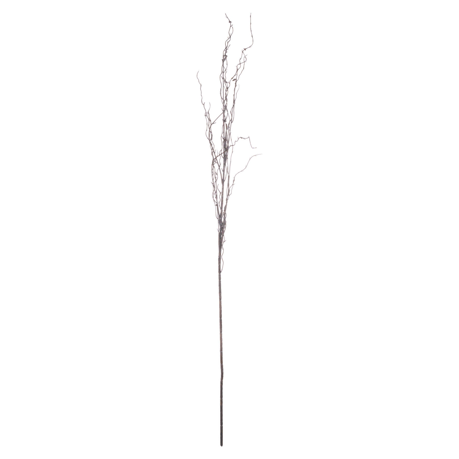 Branch Spray image 1