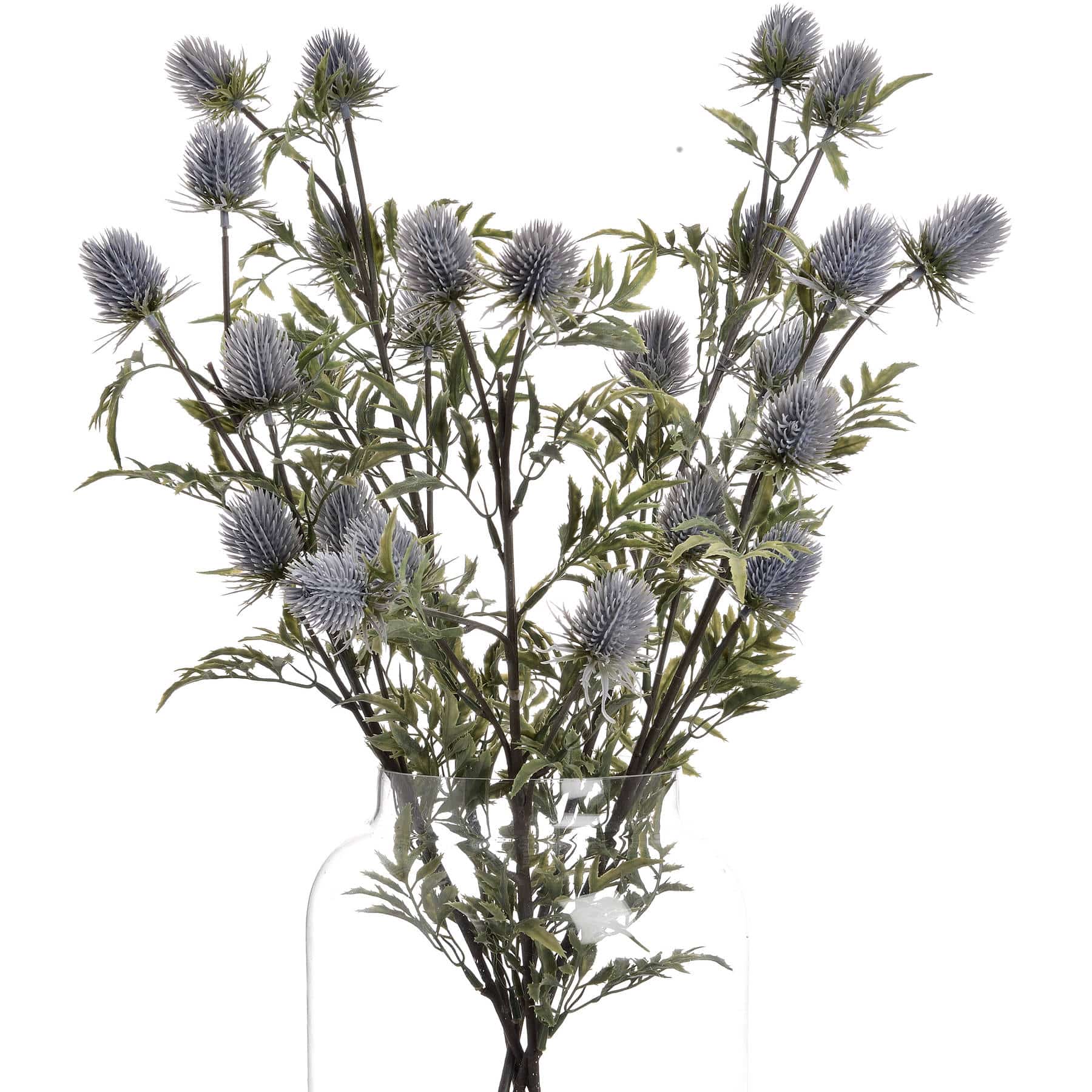 Eryngium Blue Thistle image 1