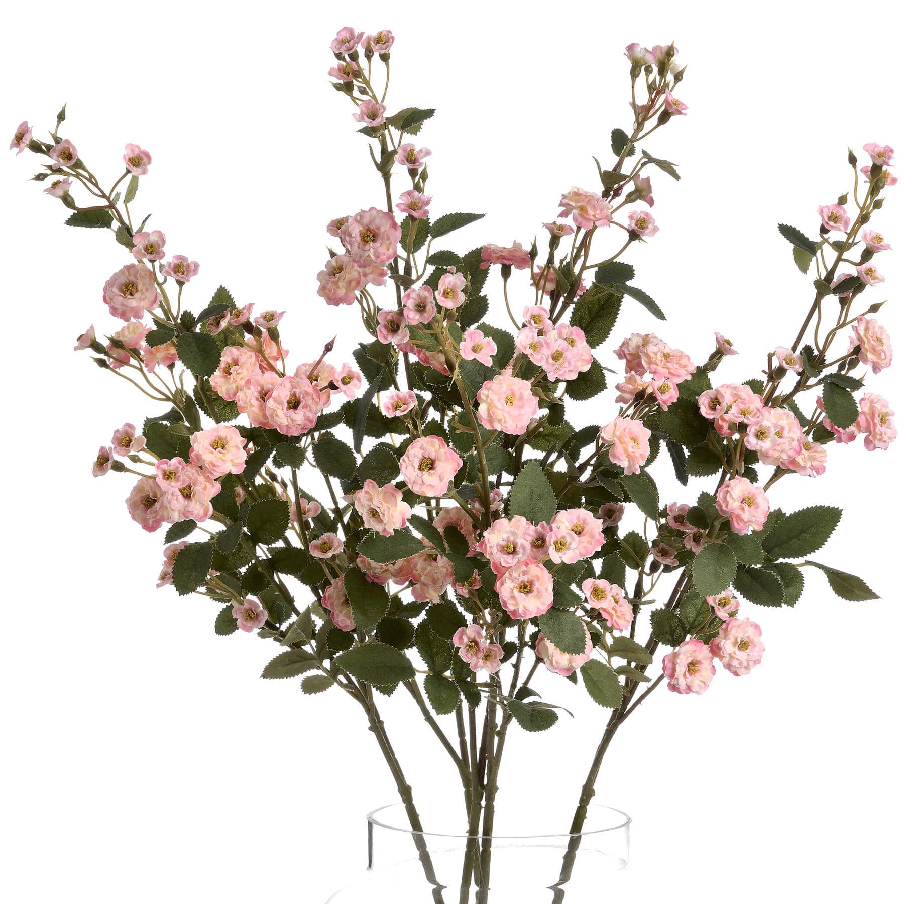 Pink Wild Meadow Rose Stem image 2
