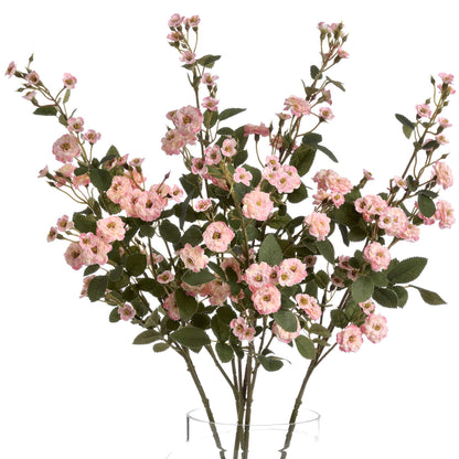Pink Wild Meadow Rose Stem image 2