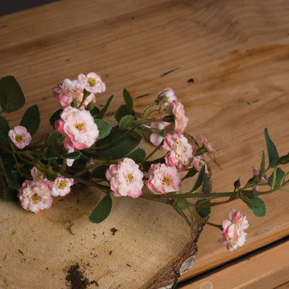 Pink Wild Meadow Rose Stem image 1