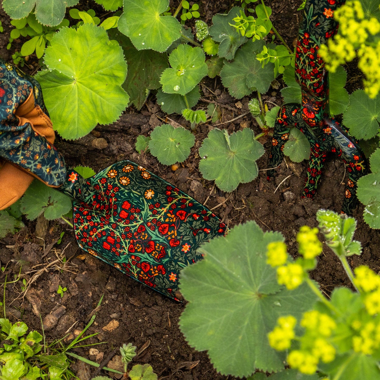 Orange Grove Fork and Trowel Garden Tool Set -Blackthorn