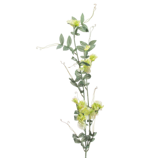 Sweet Pea Trail Stem image 0