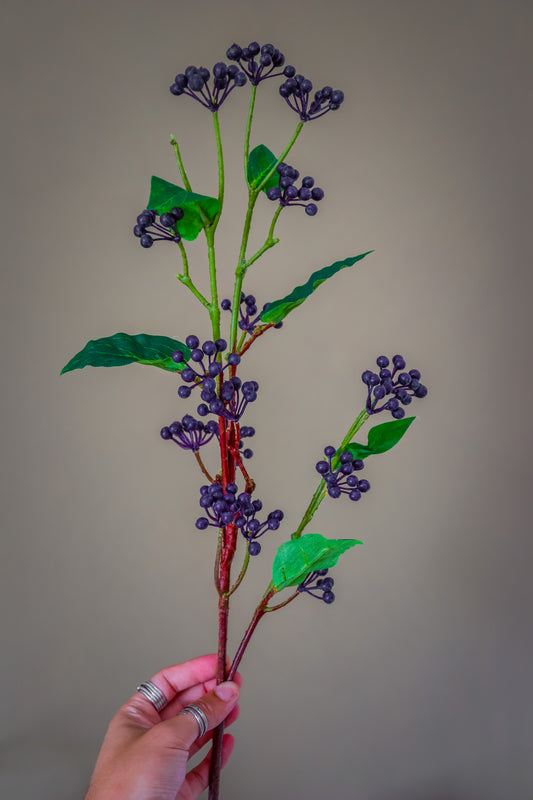 Viburnum Berry