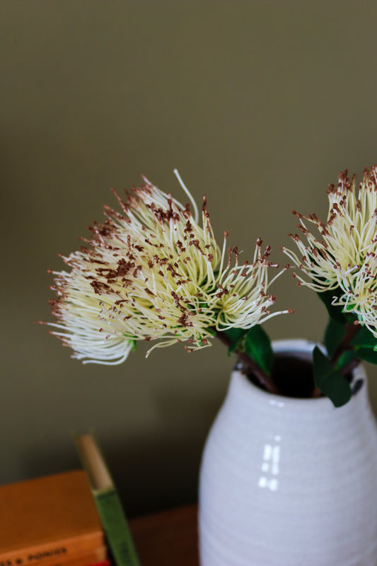 Cream Protea Nitida Spray